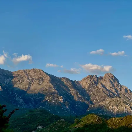 Tozaj Πανσιόν