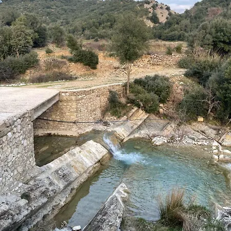 Tozaj *